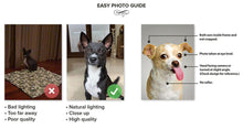 Load image into Gallery viewer, Sir Lixalot - Game Of Thrones Inspired Custom Pet Portrait Canvas